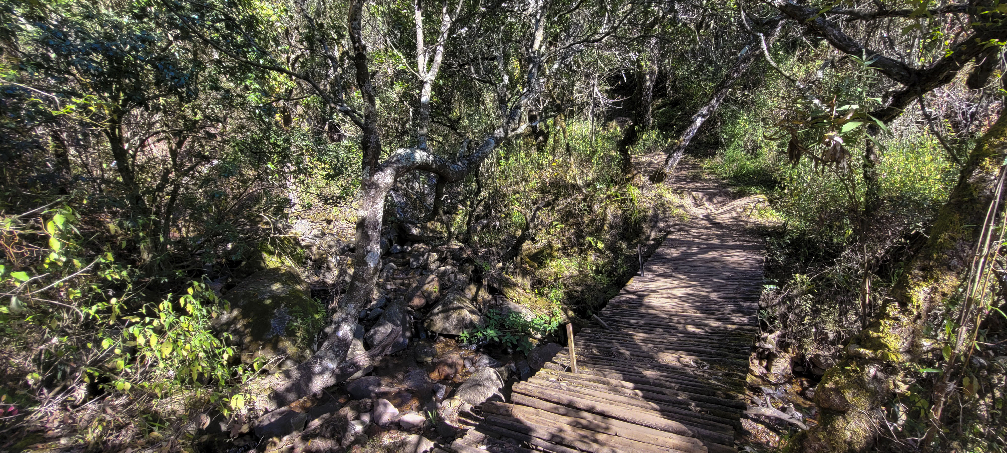 GYT 20220624 123945 20220624 123945